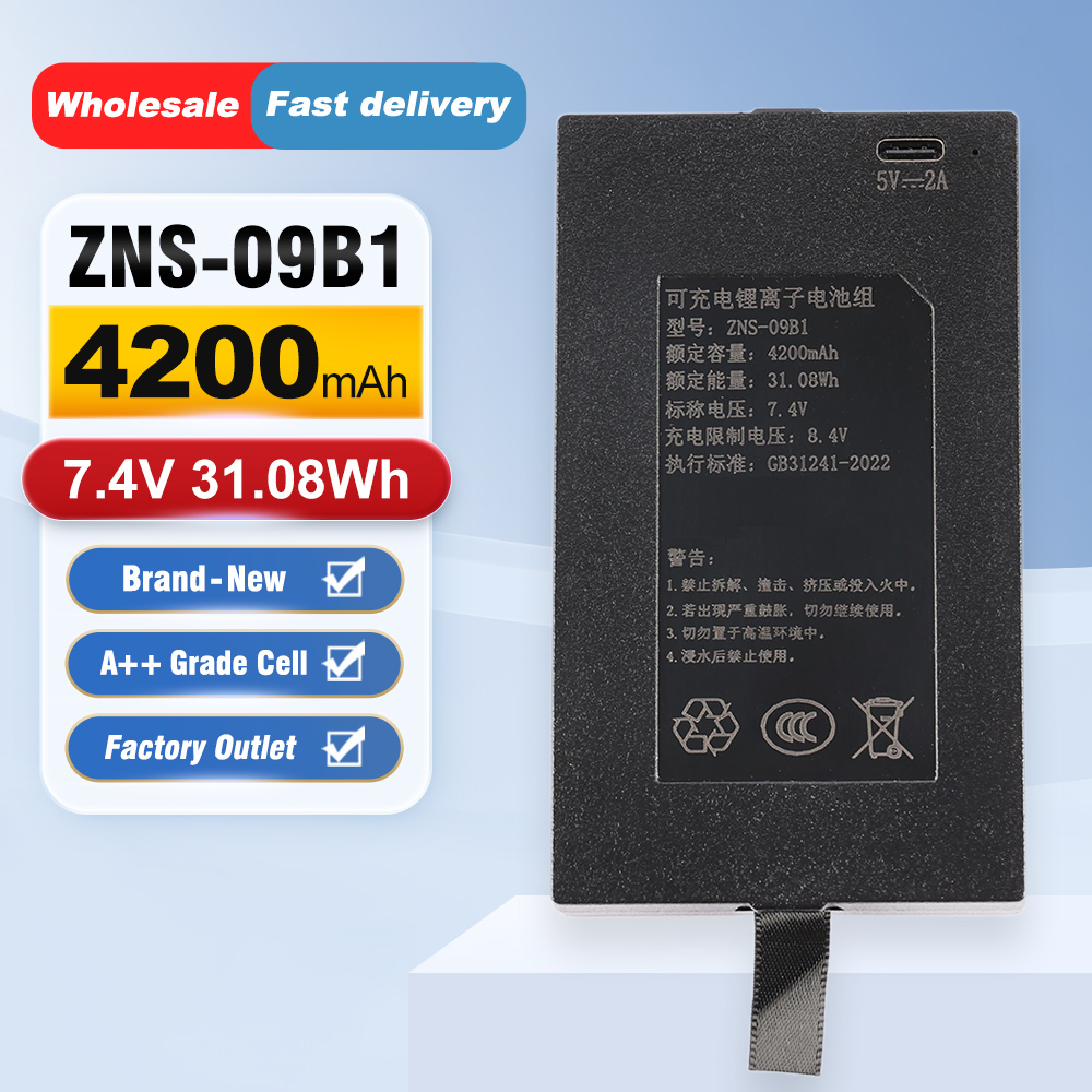 ZNS-09B1, batterie de remplace - Home Security Battery Replacement avis et prix